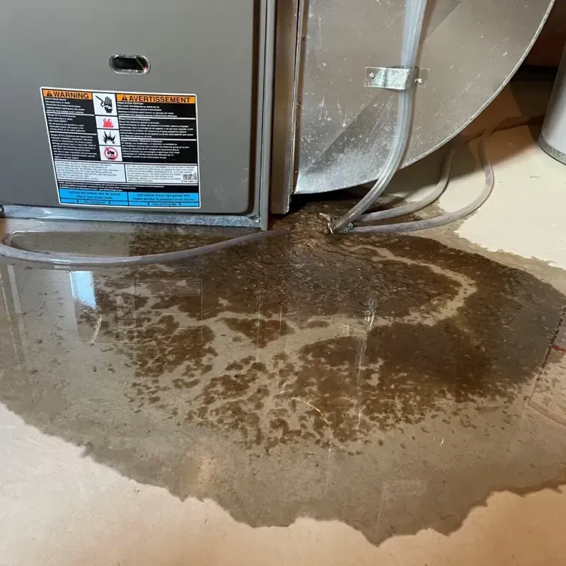 Appliance Leak Cleanup in Newton County, IN